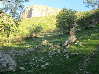 روستای دشترزم-xcRycwREEV