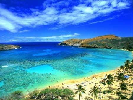 جزیره ماوی (مائویی)، زیباترین جزیره جهان-xcp3UJskbp
