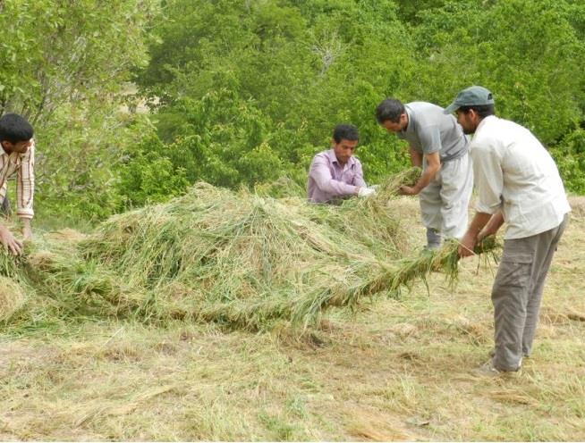روستای نیگنان-xfau1DrJwJ