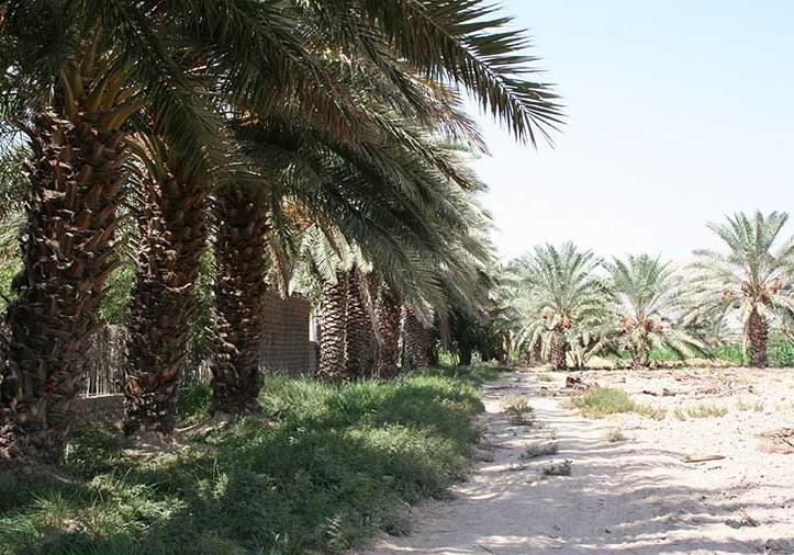 روستای دهنو بندرعباس-xh2lheu3h9