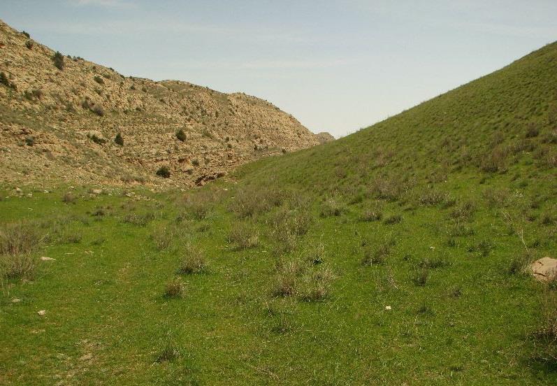 منطقه حفاظت شده دربادام-xl4ZrdCGis