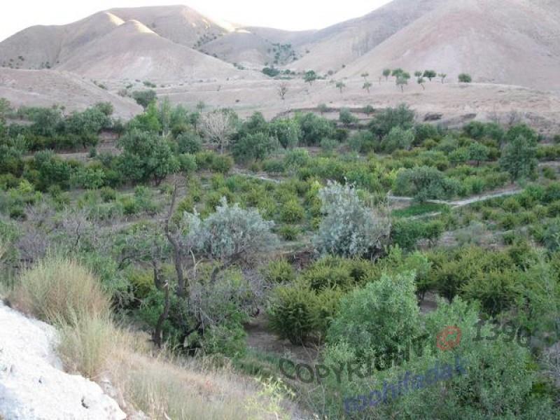 روستای بویك-xlDC4MFMeb