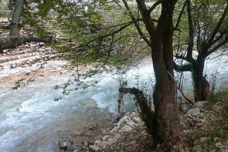مناطق جنگلی لردگان-xpmqb47Kke