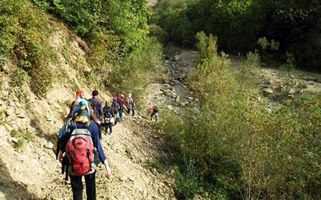 روستای برگ جهان-xronm2rqeN