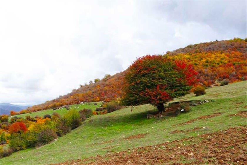 پارك ملی پابند بهشهر-y1YgptLvsX