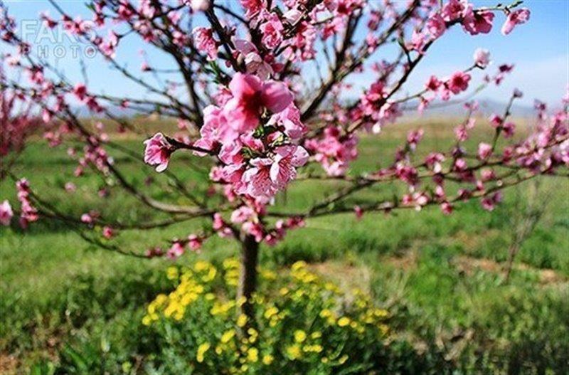 روستای چینی جان-y89OLYNXMy