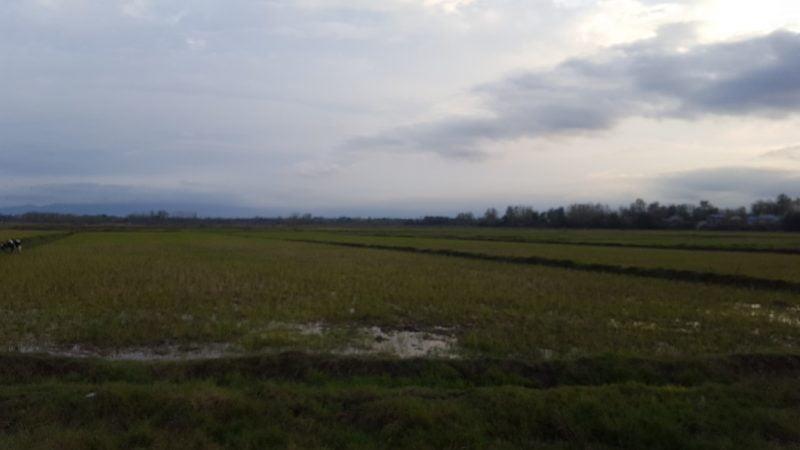 روستای گفشه-yEfZtNQYM9