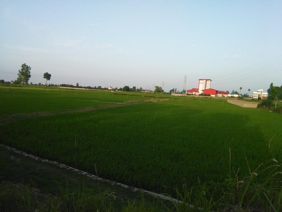 روستاهای آمل ( معرفی ۳۴۵ روستای آمل )-yHHWn5LogP
