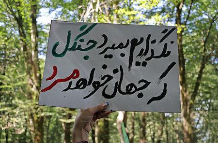 آنچه گردشگران نوروزی نباید انجام دهند!-yPNWK5sYy3