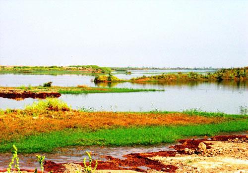 تالاب بامدژ اهواز-ykMsOyKoeD