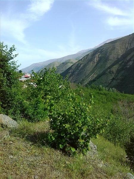 روستای اره چاك اشكورات-ynLV9KSSU1