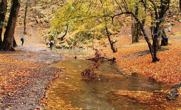 روستای بش اویلی-yt4gNLtHTe