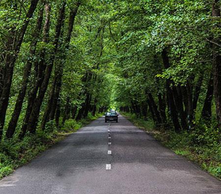 جاذبه های بكر و دست نخورده در گیلان و مازندران-yw79EBW4kM