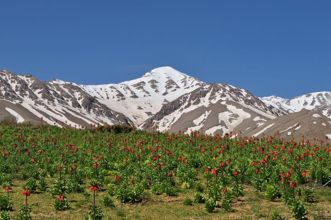 روستای بنه كمر فریدونشهر-yxeZ69V4WD