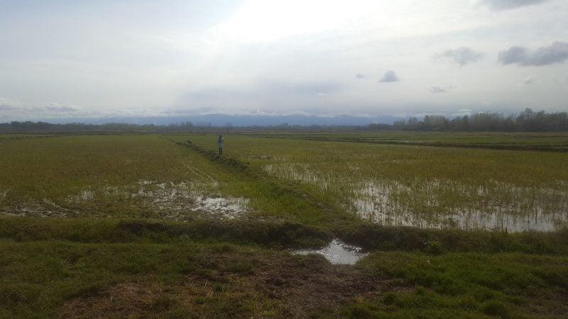 روستای گفشه-yzPwte7gVi