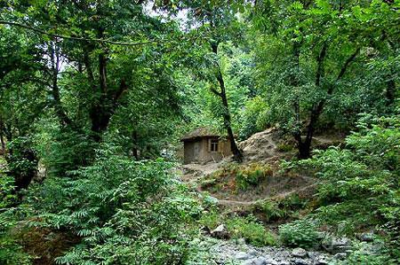 ییلاق آغوزحال، منطقه ای بكر برای گردشگران (+تصاویر)-z0v0VdjrC0