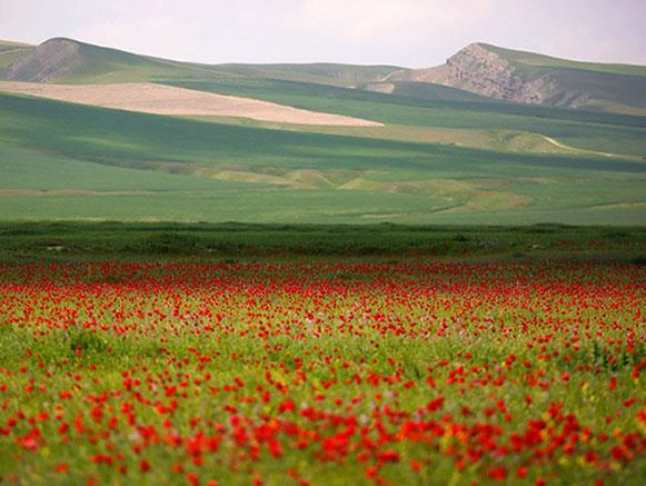 شیلگان دره درگز-z4yWqrucMp
