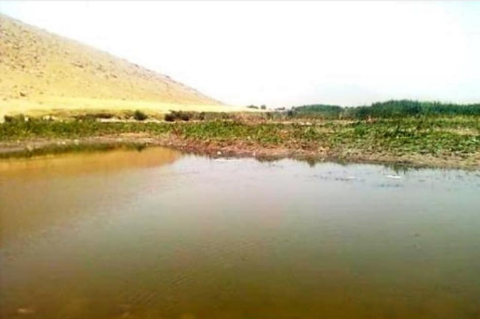 تالاب چم شور اسدآباد-zDZzvb4jQx