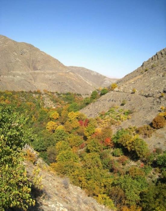 روستای فریزی مشهد استان خراسان رضوی, مشهد-zDjirHSEBM