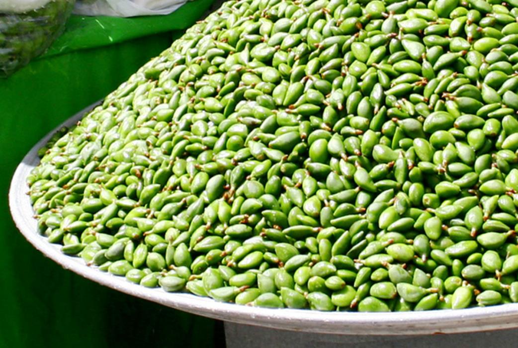 خوشمزه ترین غذاهای خیابانی در تهران-zEfXRsbFMI