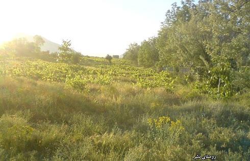 روستای نشر-zGTF7Eovsz