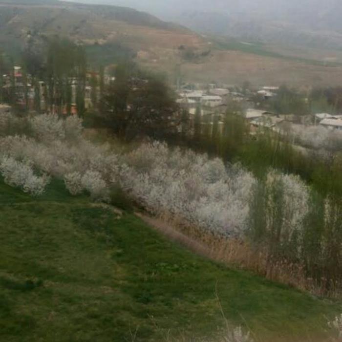 اقامتگاه بومگردی چشمه مراد-zK9psN1TsG