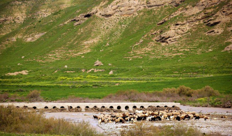 شیلگان دره درگز-zKSElJYItc
