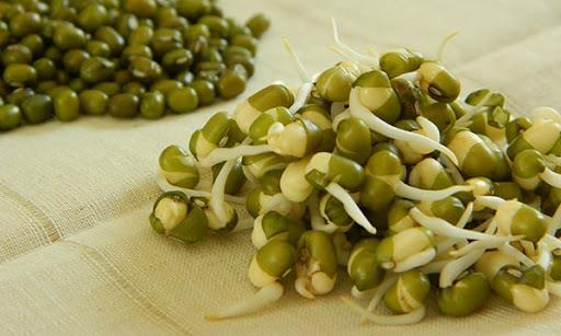 ماش پلو ساده یا مجلسی-zL551UdUgO