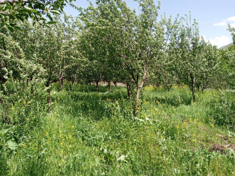روستای وفرجین همدان-zMhJZkZi7b