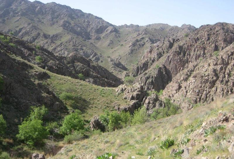 منطقه شكار ممنوع سید مرتضی-zSxcbKheJD