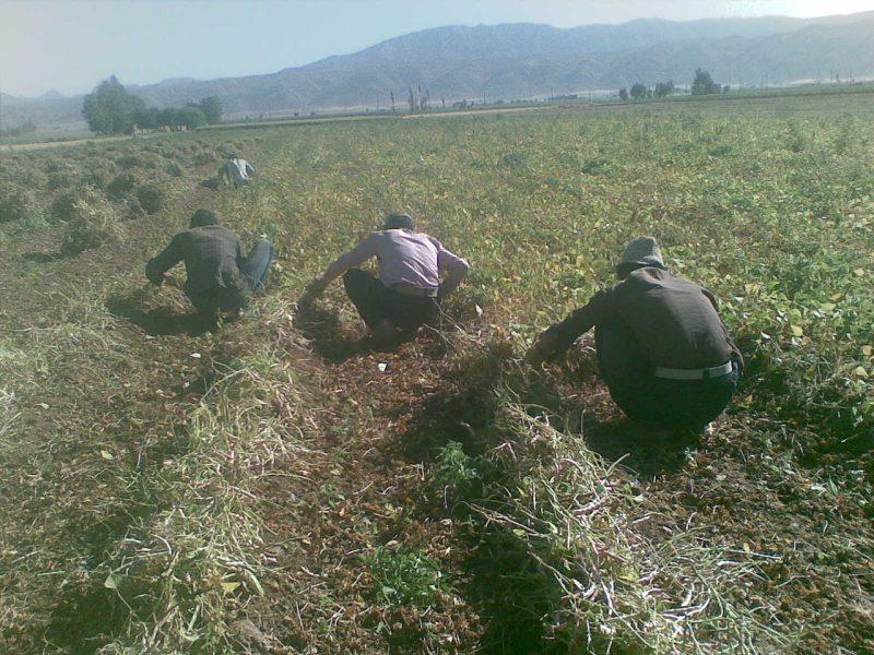 روستاهای خانمیرزا ( معرفی ۱۸ روستای خانمیرزا )-zXUZlEZZff