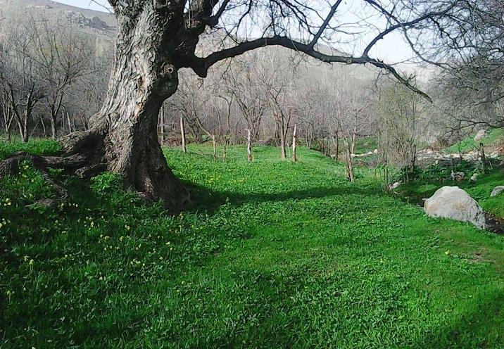 روستای سوسهاب-zf4XdTgnJg
