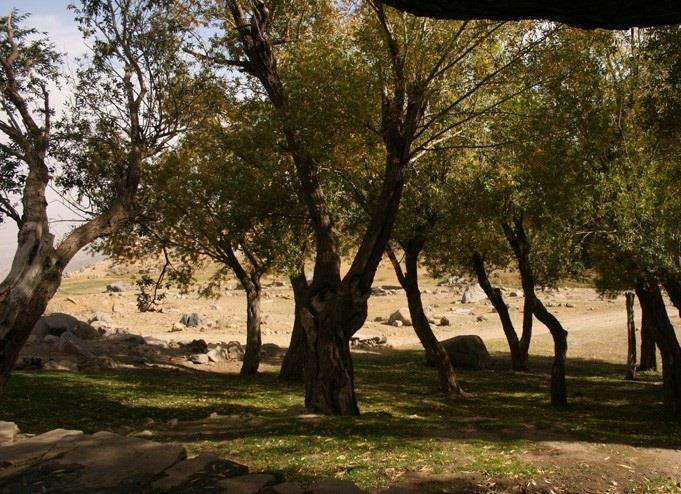 دشت میشان-zoAmOTyizY