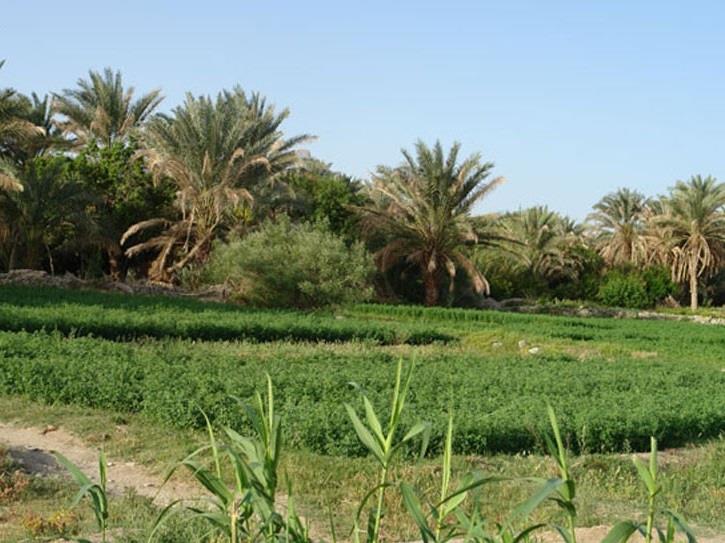 دهستان ناهوك-zoBIxYjUUc