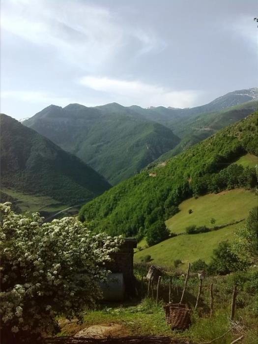 روستای اره چاك اشكورات-zpcqgUa66m