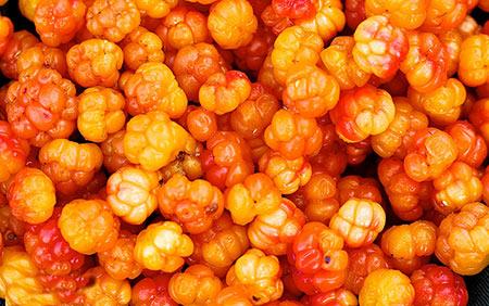 معرفی بهترین سوغاتی های نروژ-zsYy5Ywu1t