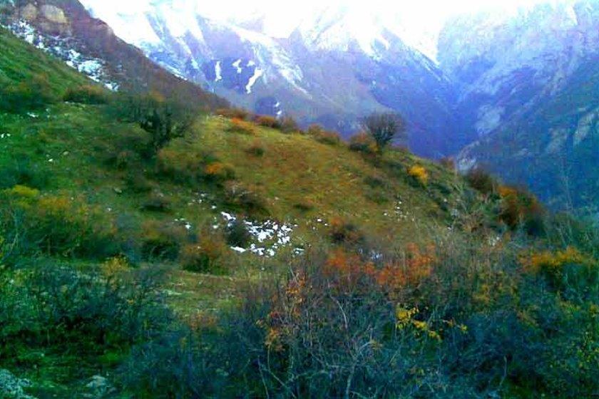 منطقه حفاظت‌ شده بلس كوه تنكابن-zsoyLz6oVR